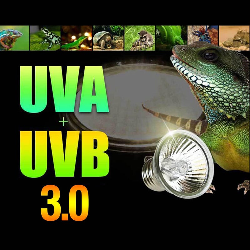 PewinGo 4 -Pack 50W UVA UVB Heat Lamp Bulbs for Reptiles, Heating Emitter Bulbs for Amphibian, Terrariums, Cages, for Tortoise, Snake, Frog, Lizard, Chameleon, Hermit Crab, Cockatoo. Halogen, Orange - Image 5